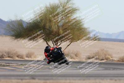 media/Nov-30-2025-TrackXperience (Sun) [[c0061d280f]]/2-Level 2/Session 6 Turn 4 Tree of Life/